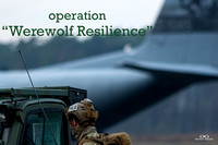 Operation "Werewolf Resilience" - Weelde 08.12.2020